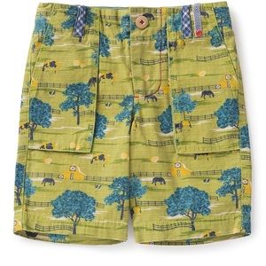 NWT. Joanna Gaines, Don’t Fence Me Shorts